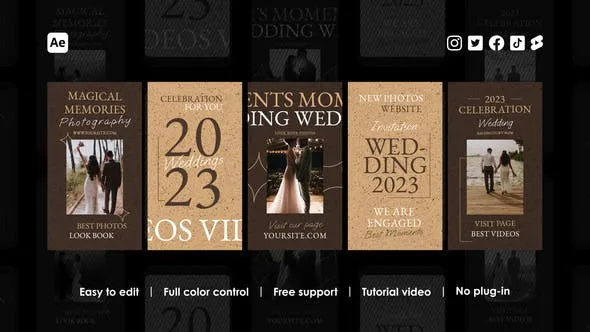 Videohive Wedding Instagram Reels 48461338