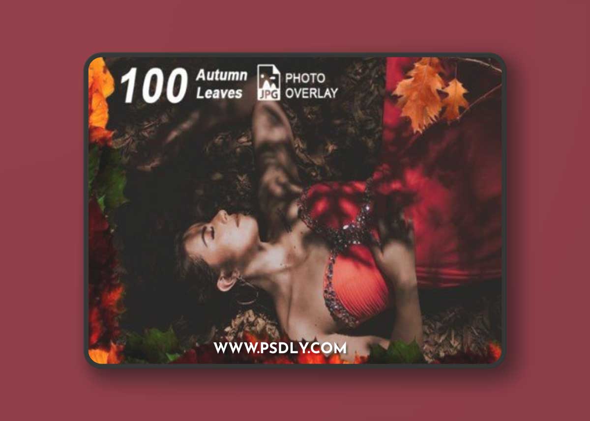 100 Autumn Leaves Photo Overlay PNG