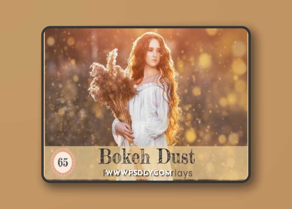 Bokeh Dust Photoshop Overlay Digital Art