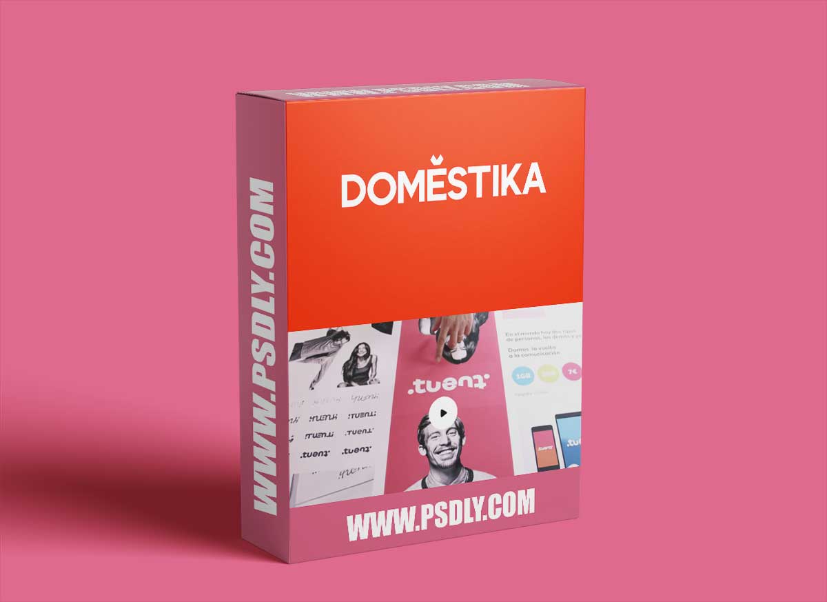 Domestika - Branding and Identity Construction and Development of a Brand