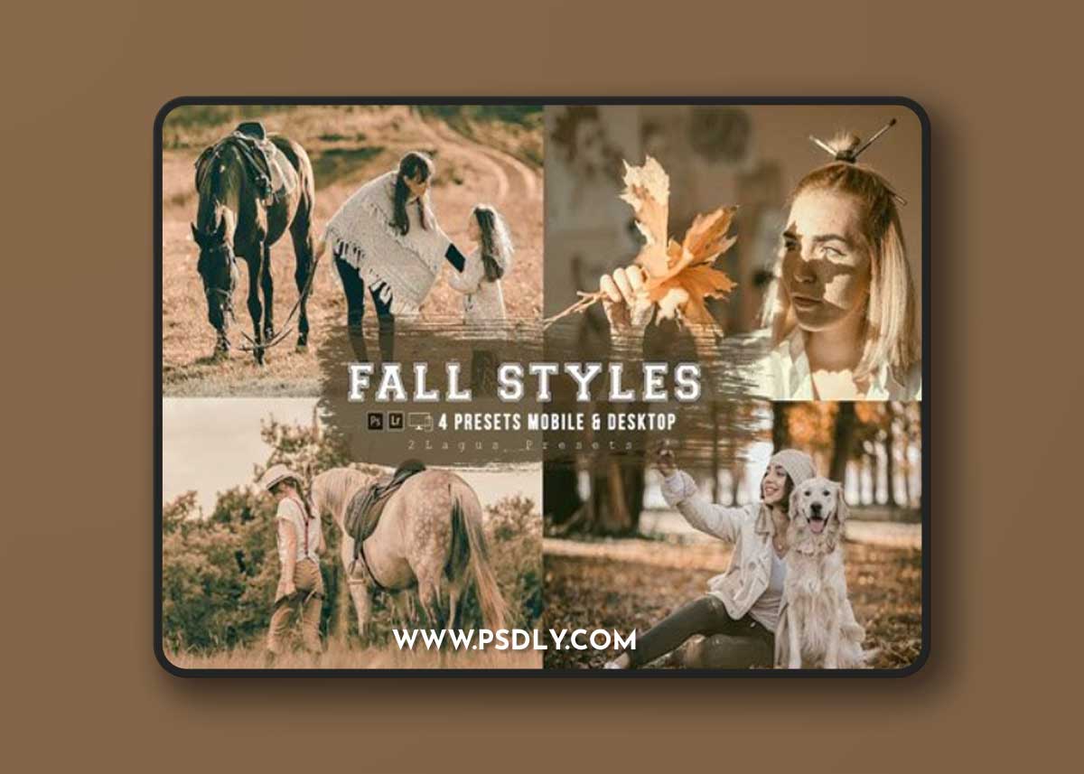 Fall Styles 4 Lightroom Presets Mobile & Desktop