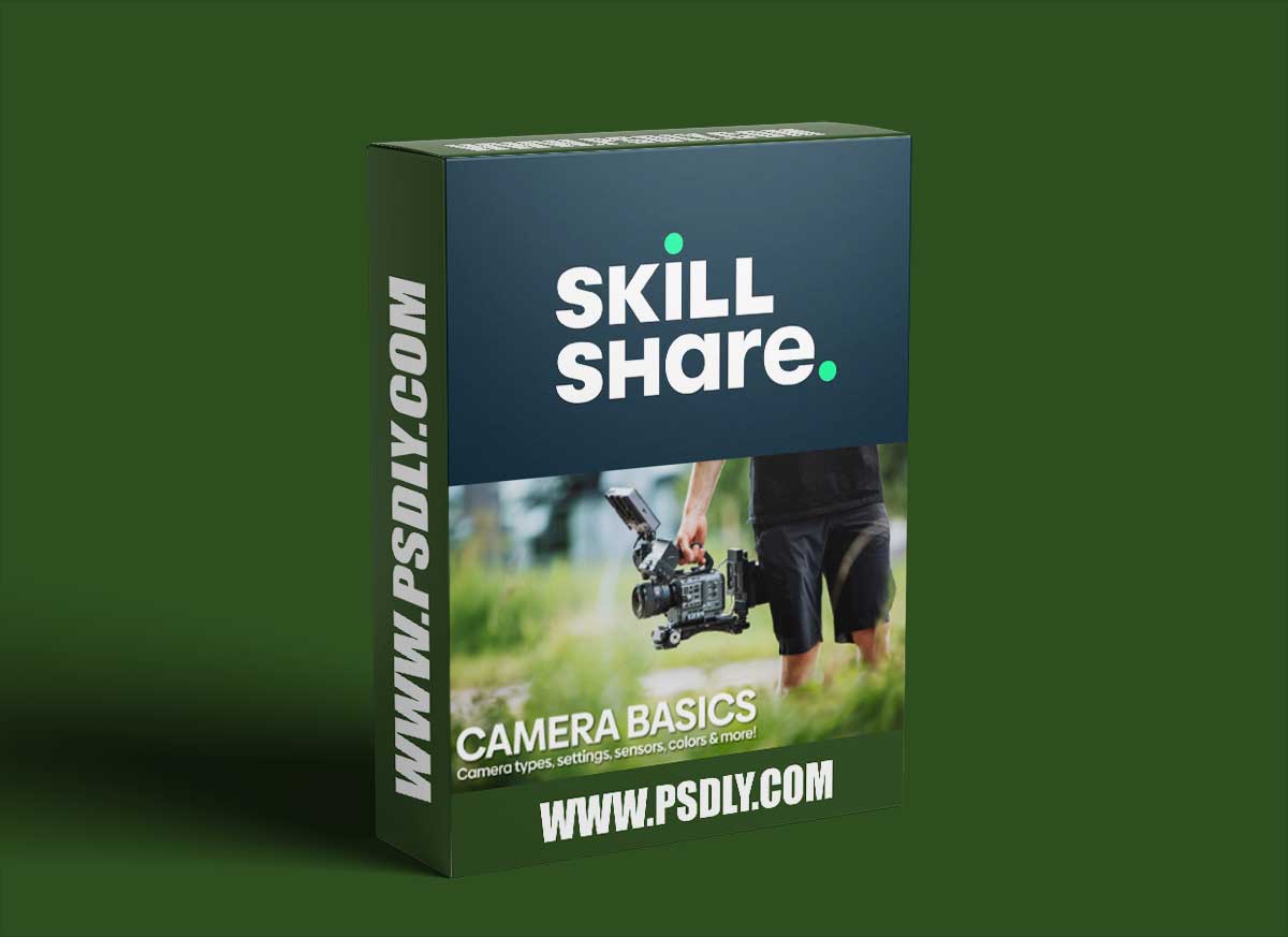 Introduction to Filmmaking - Camera types, settings, sensors, colours & more