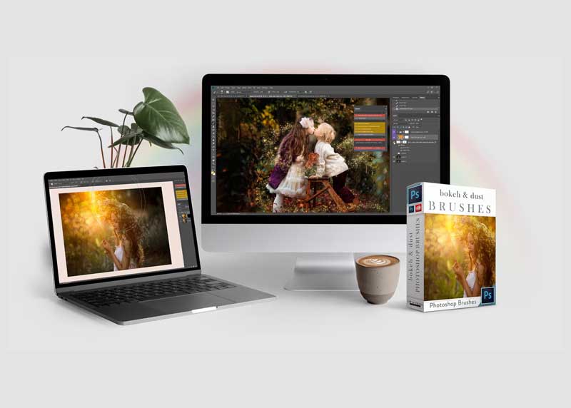 LSP - Bokeh Light Dust & Particle Brush Set For Photoshop