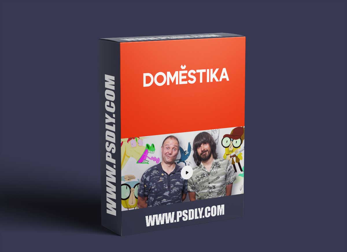 Domestika - Digital Animation in 2D