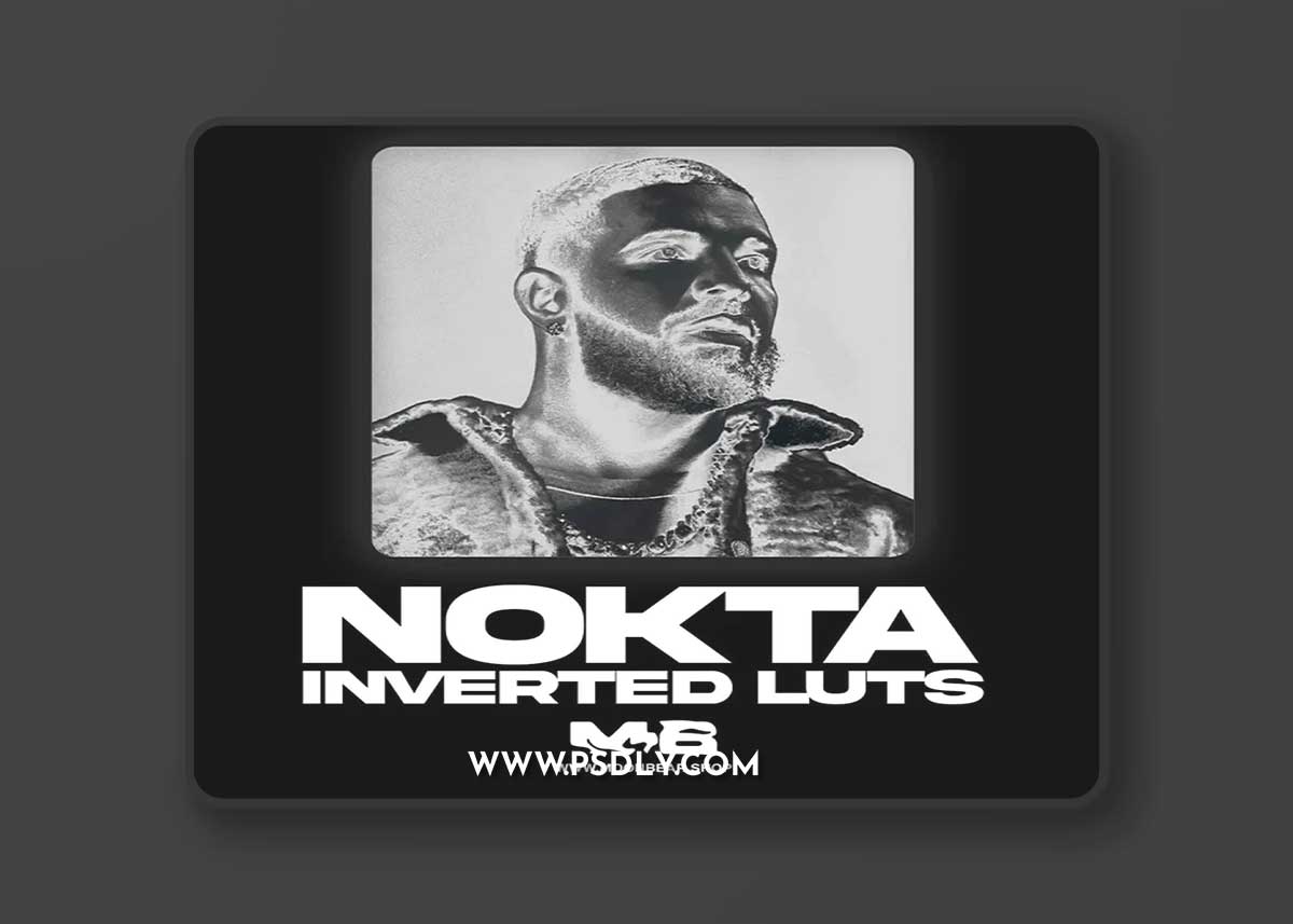 MoonBear - NOKTA Inverted Luts & Filters