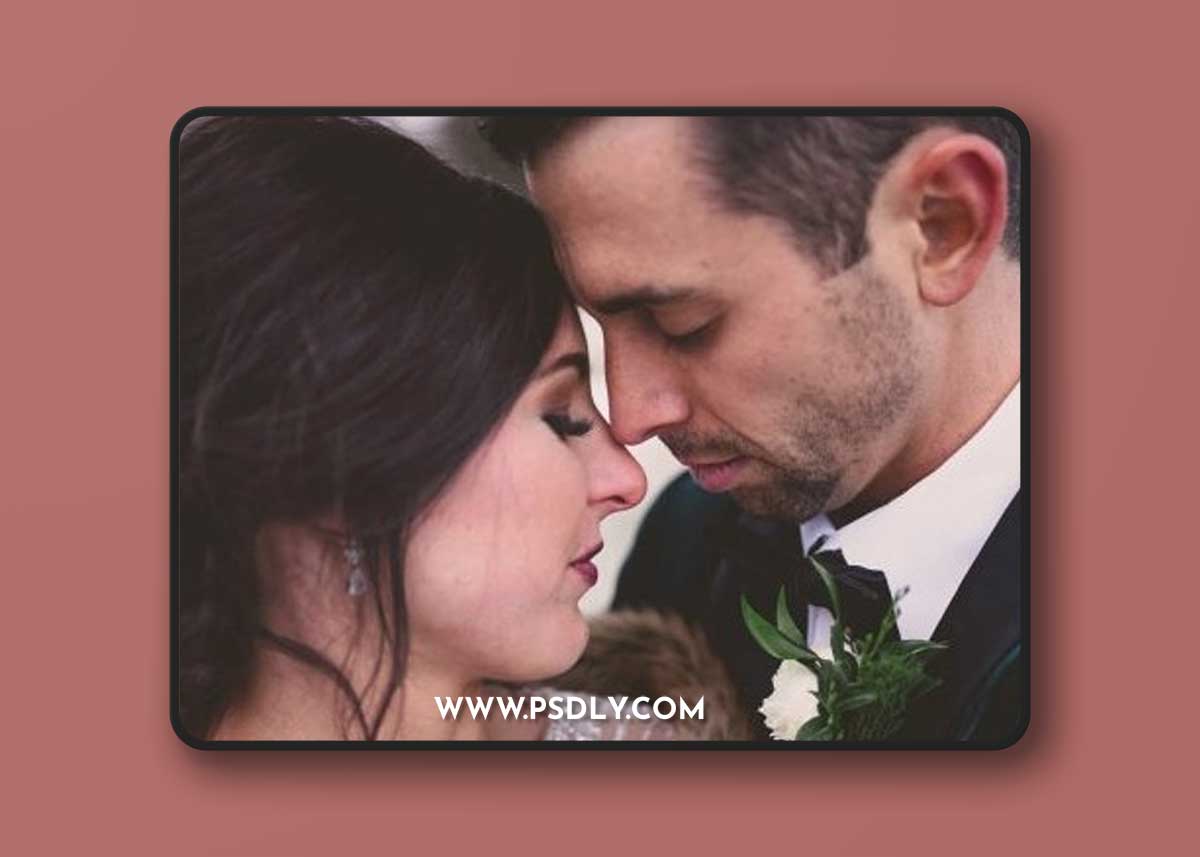 Twig & Olive: Rustic Matte Vol. 2