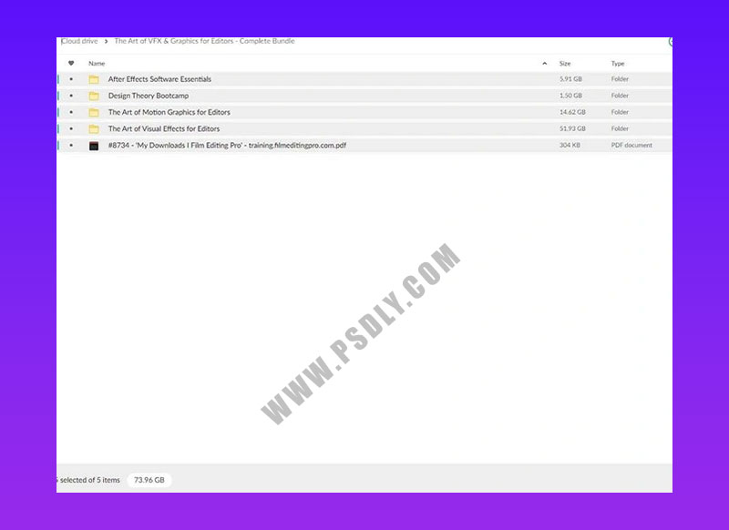 Filmeditingpro - The Art of VFX & Graphics for Editors Complete Bundle Download at 30$ 3 The Art of VFX Graphics for Editors Complete Bundle