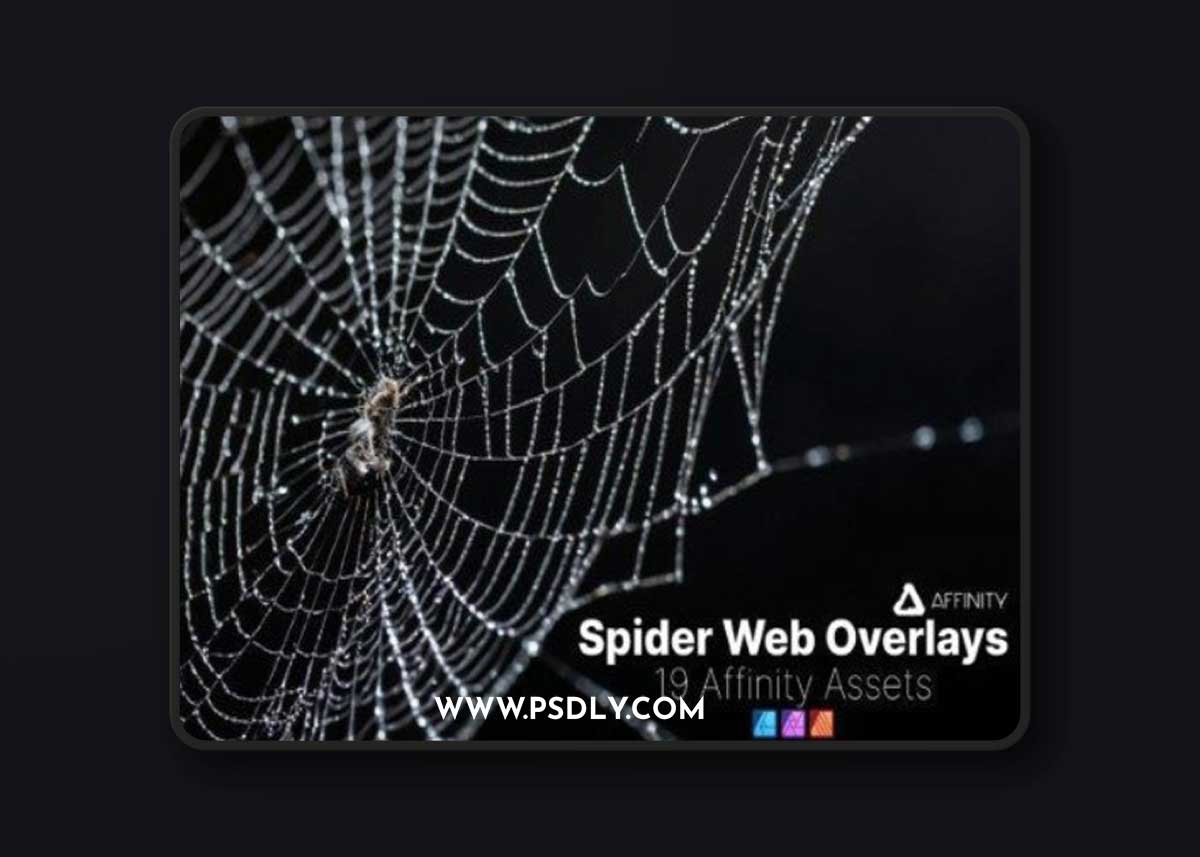 Affinity Assets | Spider Web Overlays