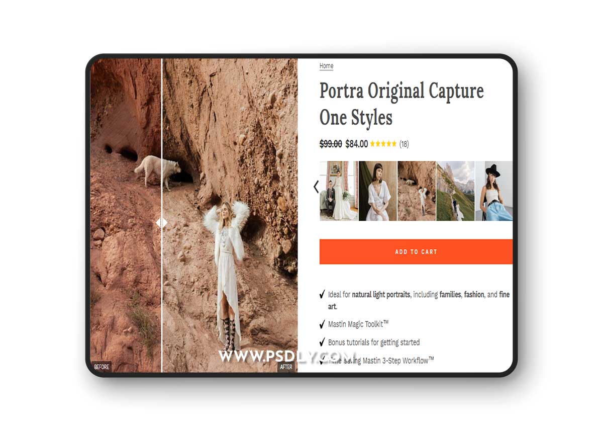 Mastin Labs - Portra Original Pack for Capture One Pro