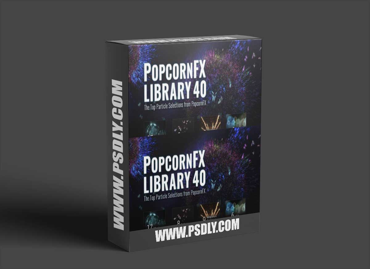 PopcornFX Library 40 + Samples – Reallusion