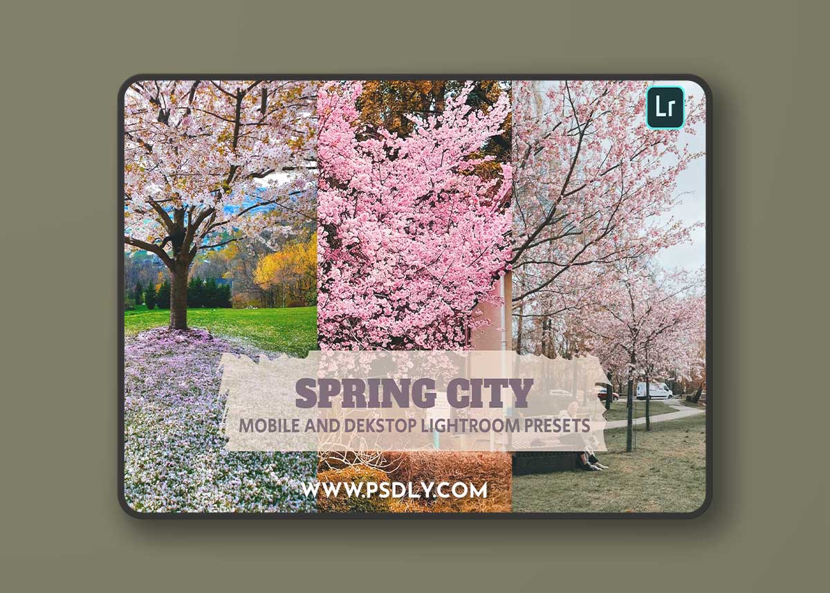 Spring City Lightroom Presets Dekstop and Mobile HDTGU25