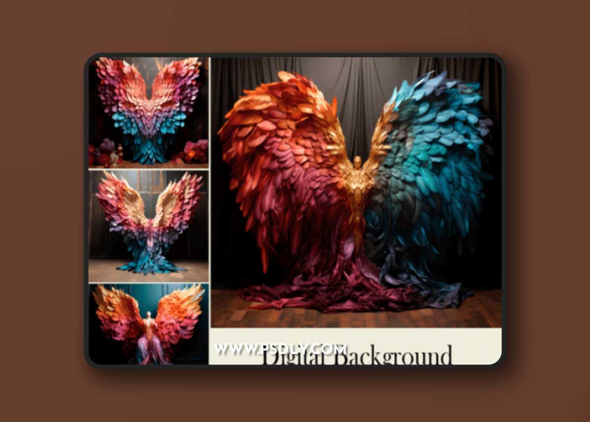 Wings Feather Studio Backdrop Overlays