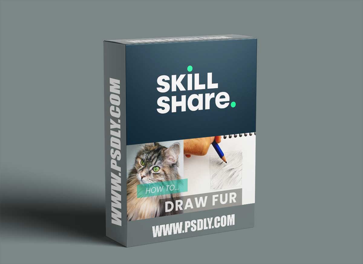 How To Draw Fur: Pencil Shading Techniques For Drawing Animals