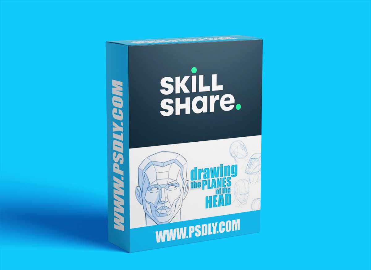 How to Draw the Planes of the Head