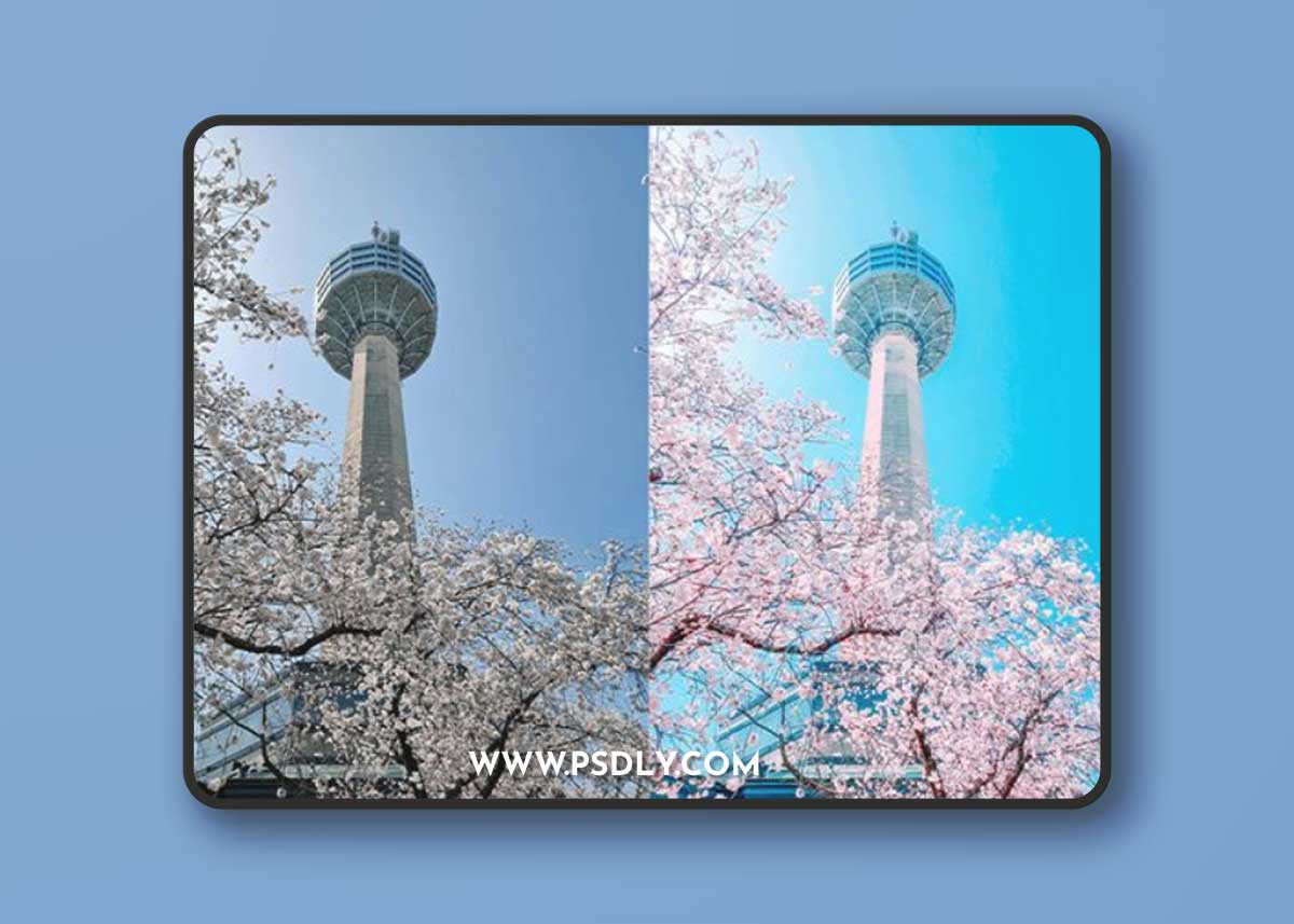 Sakura - Mobile & Desktop Lightroom Presets