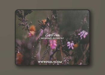 8 Dirty Scan Overlays for Photoshop