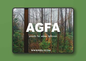 Alex Ruskman AGFA Collection