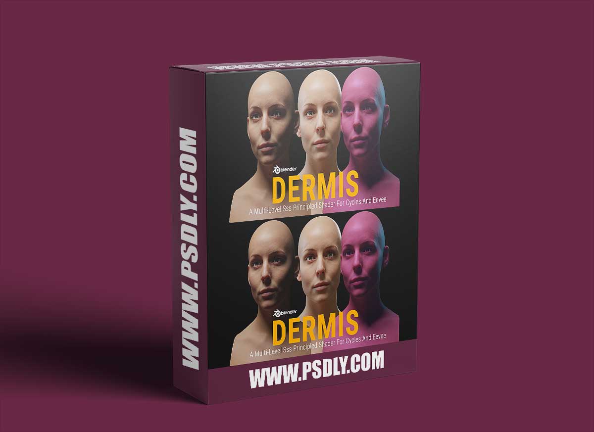 Dermis: A Multi-Level Sss Principled Shader For Cycles (v1.1)
