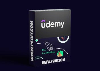 LLC Launchpad: From Idea to Launch in 30 Days