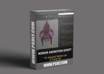 Mirror Animation Script for Maya