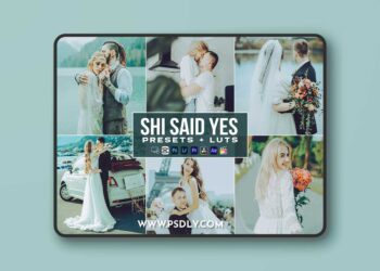 Shi Said Yes Presets - luts Videos Premiere Pro DKEADR2