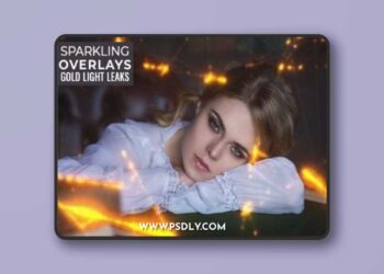 80 Sparkling Gold Light Leaks Overlays