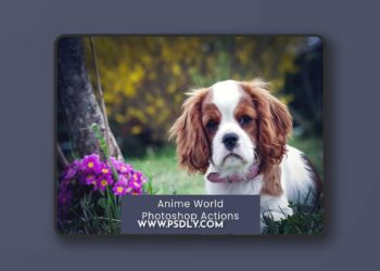Anime World Photoshop Actions PPLV63W