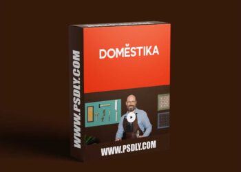 Domestika - Kumiko: Learn Japanese Woodworking Design
