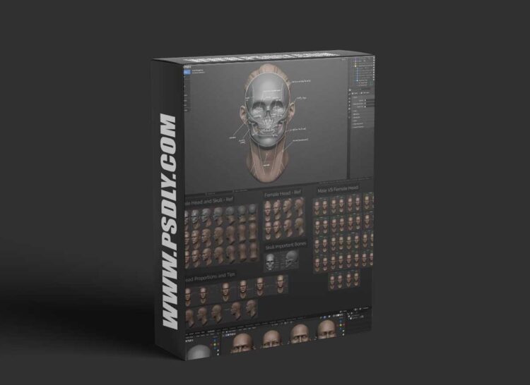 Master Sculpting Heads - 3D Blender Course - New Update! (V1.4) 1 Master Sculpting Heads - 3D Blender Course - New Update! (V1.4)