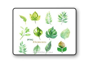 20 Watercolor Botanical Leaves