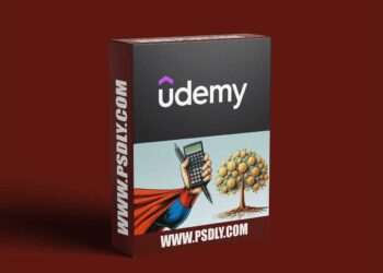 Udemy - From Zero to Hero: A Beginner's Accounting Bootcamp