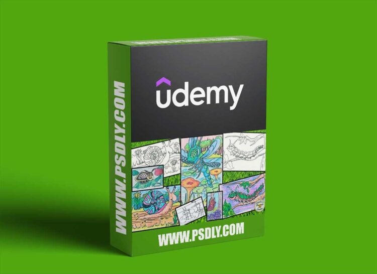 Udemy - How to Draw Fun Bugs Step-by-Step 1 Udemy - How to Draw Fun Bugs Step-by-Step