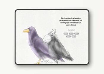 Basic Pencil Procreate Brushes XP2YGD8