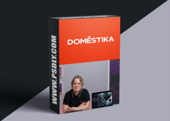 Domestika - Powerpoint Pro: How to Prepare a Persuasive Presentation
