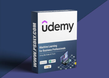 Udemy - ML for Business professionals using No-Code AI tools