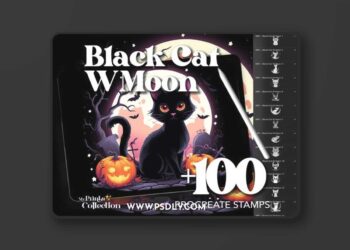 100+ Procreate Black Cat with Moon Stamp