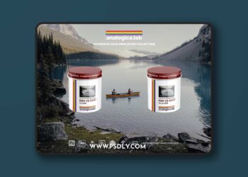 Analogica Lab - Kodak Vision3 500T