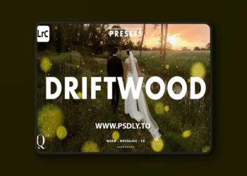 Archipelago Quest 39 – Driftwood