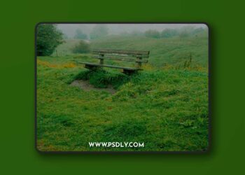 Oliver Keys - Film+ Lightroom Profile & Actions Pack