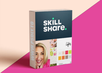 Visual Brand Guide for Entrepreneurs: Start Simple in Adobe Illustrator