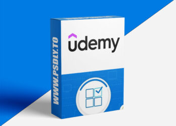 Windows 11 Essentials - Beginner