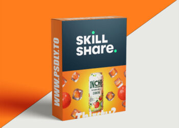 Attract Clients with your portfolio, even if you are a Beginner