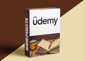 English Grammar: Words, Phrases, Sentences, and Punctuation