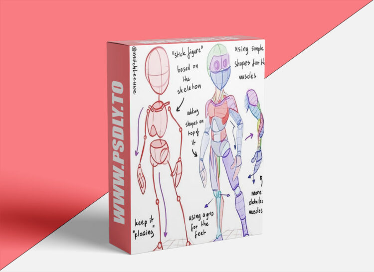 How to Learn Anatomy by Mitch Leeuwe 1 How to Learn Anatomy by Mitch Leeuwe