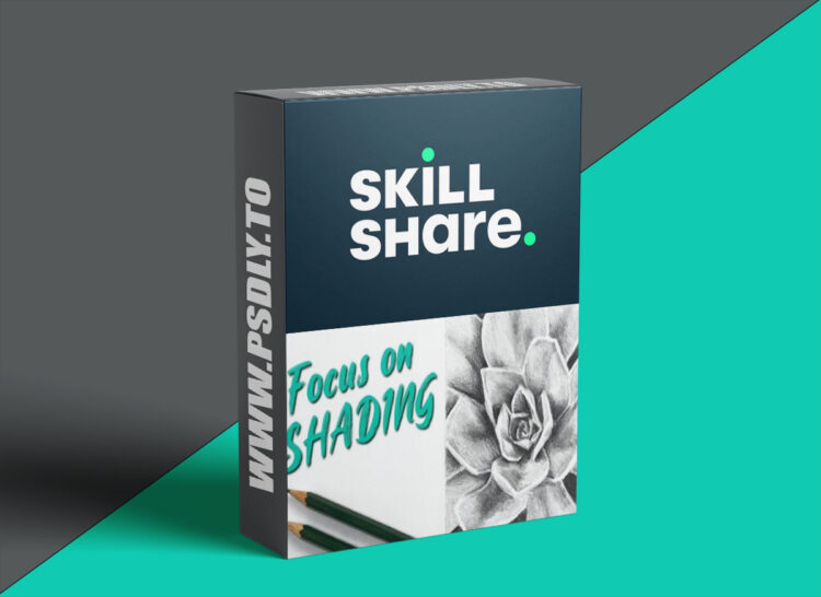 Mastering Shading: How To Get A Realistic Effect With Graphite Pencils 1 Mastering Shading: How To Get A Realistic Effect With Graphite Pencils