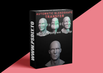 CGCircuit - Auto Blendshape Transfer Different Topo