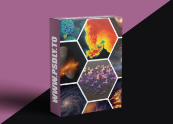 Houdini.School – HS-116 - Working with Scientific Datasets in Houdini with Kalina Borkiewicz