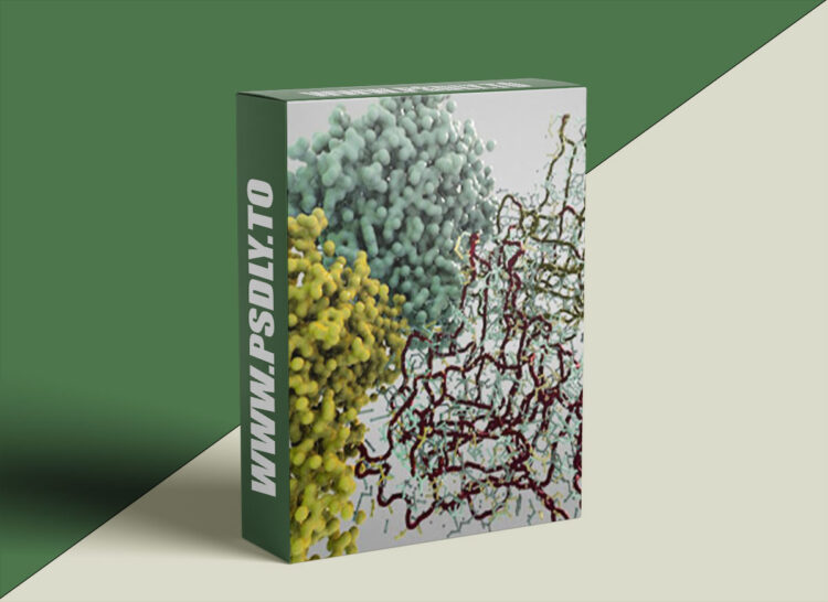 Houdini.School – HS-227 - Visualizing Protein Data Bank Information with Kate Xagoraris 1 Houdini.School – HS-227 - Visualizing Protein Data Bank Information with Kate Xagoraris