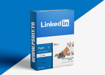 Squarespace Essential Training: The Basics (2024)