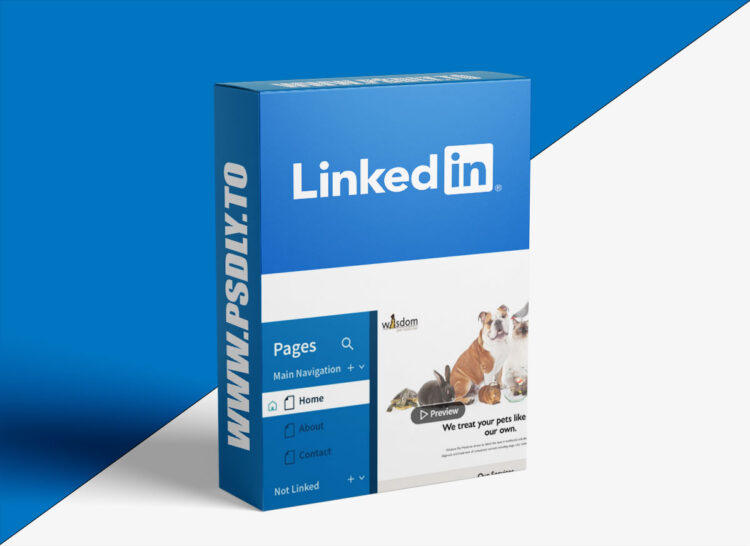 Squarespace Essential Training: The Basics (2024) 1 Squarespace Essential Training: The Basics (2024)